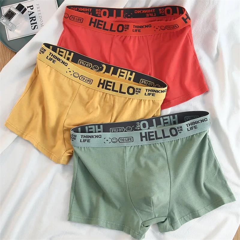 10Pieces/ Men's Underwear Men  – Boxer Shorts Modal Bewertung und Preis