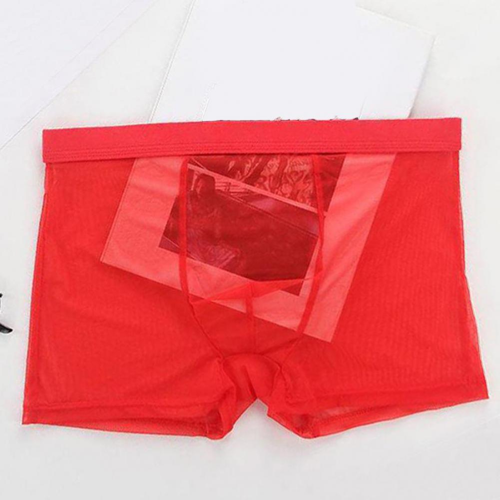 Transparent Boxers for Men See – Boxer Shorts Modal Bewertung und Preis