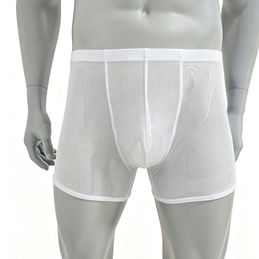 Men Mesh See-through Ultra-thi – Long Leg Trunk Men Bewertung und Preis