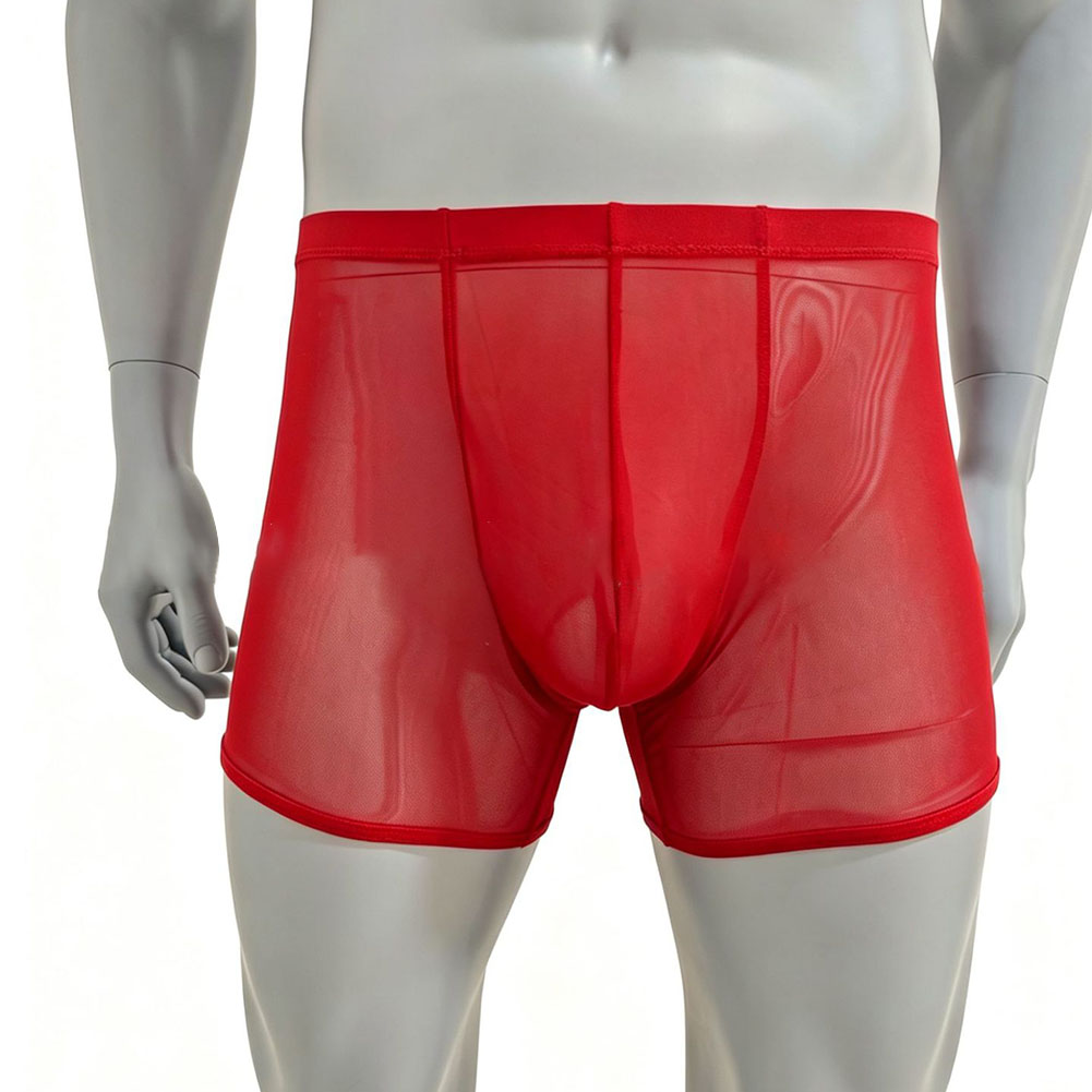 Men Mesh See-through Ultra-thi – Long Leg Trunk Men Bewertung und Preis