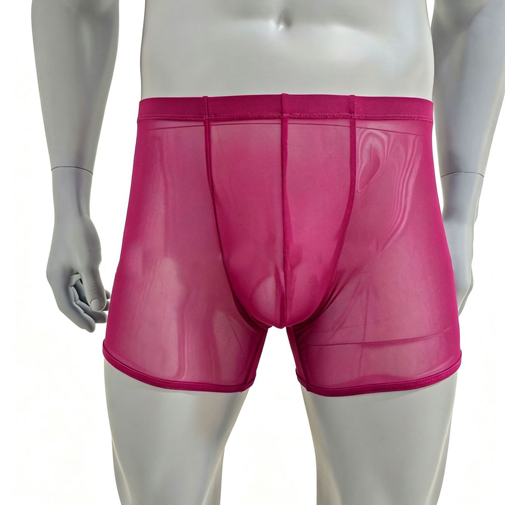 Men Mesh See-through Ultra-thi – Long Leg Trunk Men Bewertung und Preis
