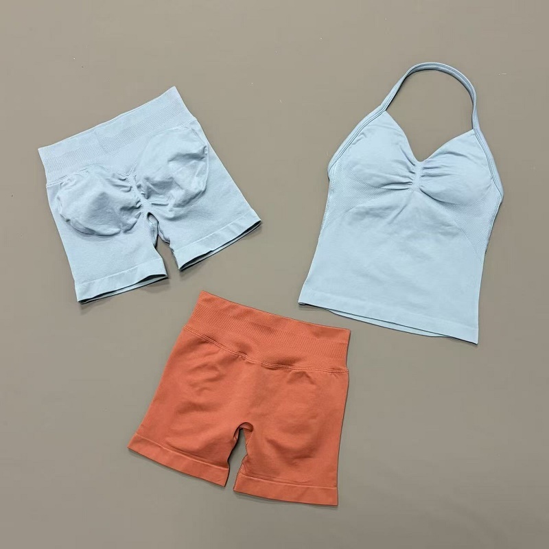 2Pcs Women Workout Set Seamles – Suspender Tank Top Bewertung und Preis