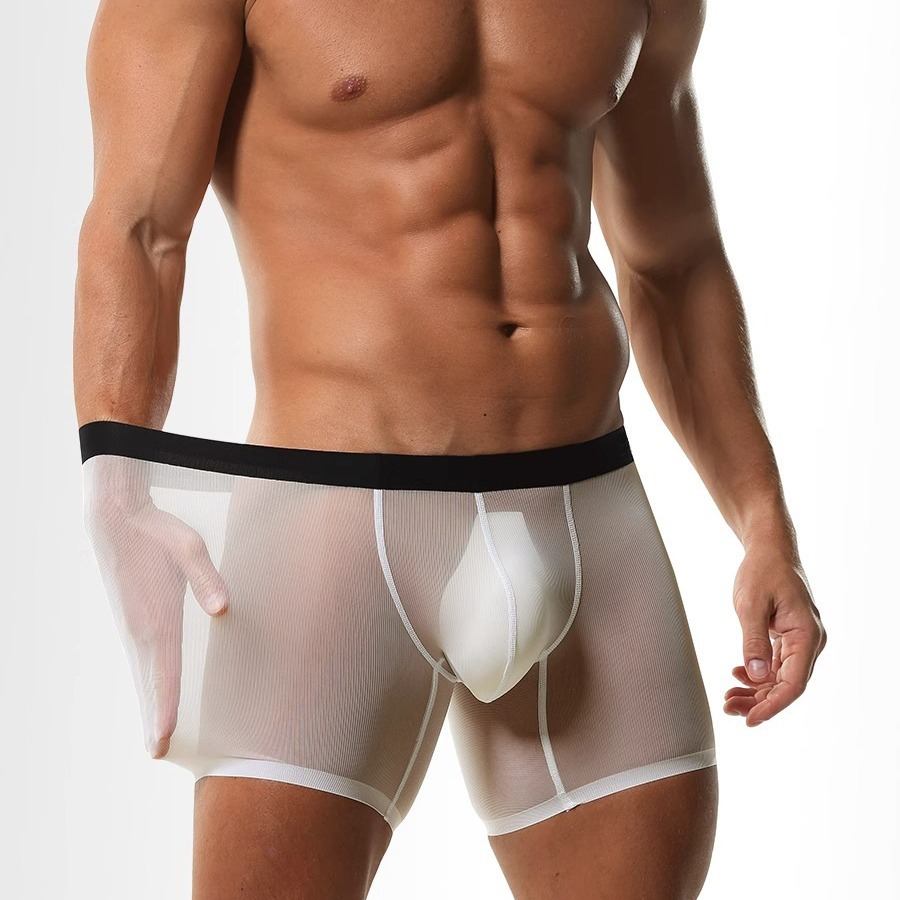Mens Long Leg Boxer Shorts Ice – Long Leg Trunk Men Bewertung und Preis