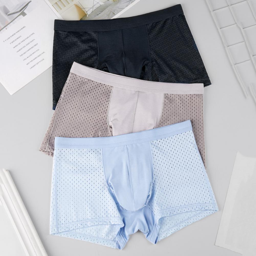 2025 M-3XL Men Boxers Elephant – Mesh Sport Boxer Bewertung und Preis