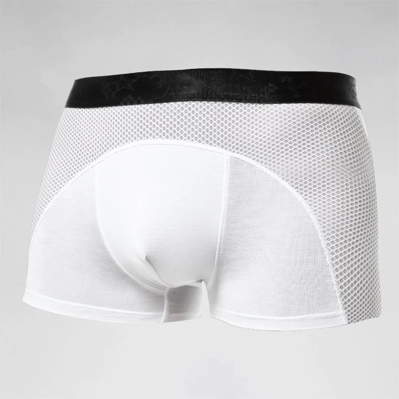 Men's underwear, men's ice sil – Mesh Sport Boxer Bewertung und Preis